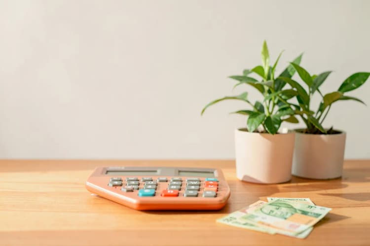 Calculadora sobre uma mesa com notas de dinheiro e uma planta pequena