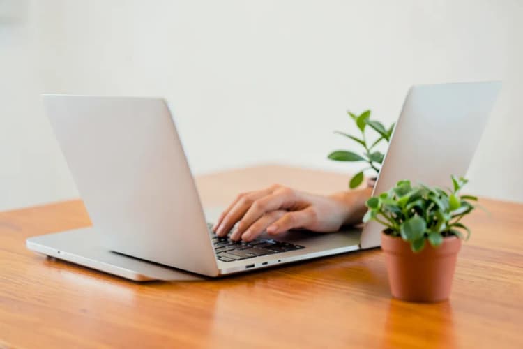 Mãos digitando em um laptop sobre uma mesa de madeira com um pequeno vaso de planta