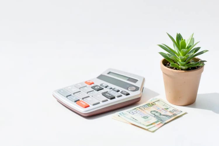 Uma calculadora ao lado de notas de dinheiro e uma planta pequena.