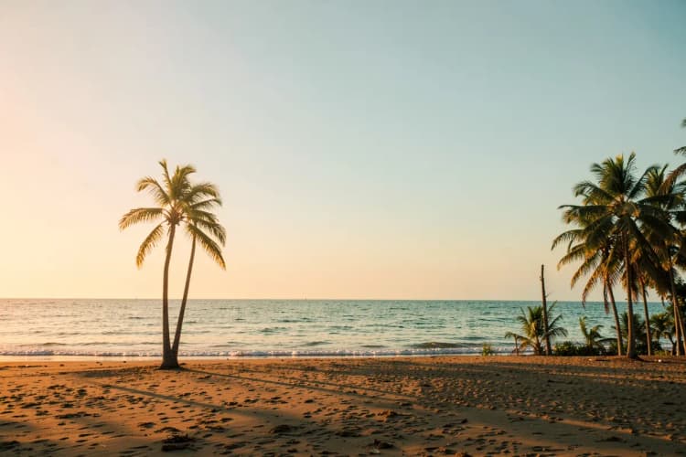 Praia de Balneário Piçarras com mar calmo e coqueiros na orla